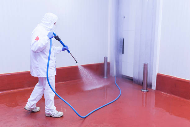 Best Solar Panel Cleaning  in Leisure City, FL